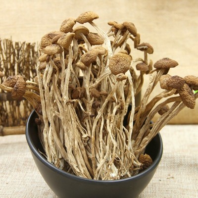 古田新货不开伞茶树菇 食用菌批发南北干货菌菇散装直供250g/500g图5