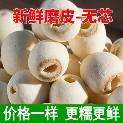 磨皮无芯白莲子干货500g新货小粒去芯磨皮白莲湘潭湘莲子批发