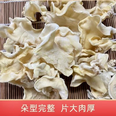 白木耳大白竹耳批量供应朵型完整肉质厚实干货白玉木耳白木耳图3