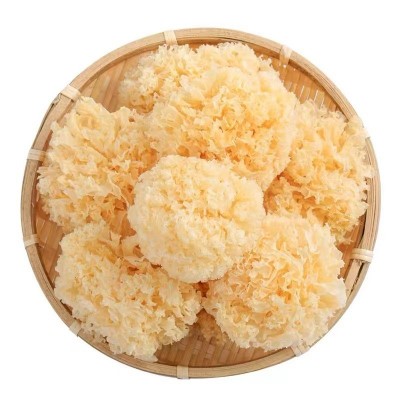 古田仿椴木小银耳500g干货散装批发产地直供白木耳糯耳特产菇礼包图4