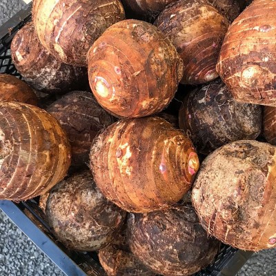 云南弥勒小芋头 细糯粘滑云南高山种植自然新鲜蔬菜3斤装芋头批发图4