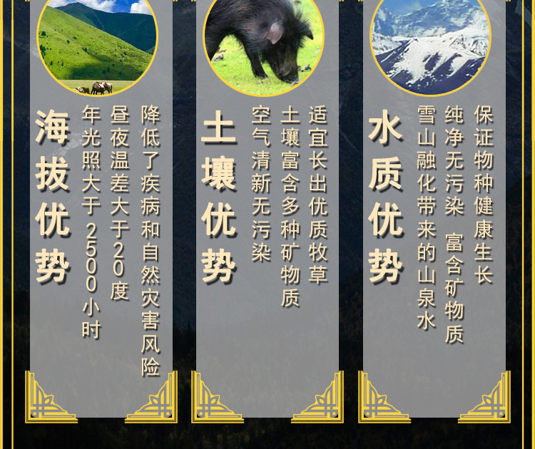 阿里用快递说明 中通