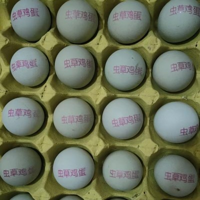 30枚整箱批发新鲜土鸡蛋 五谷虫草散养农家绿壳土鸡蛋正宗鸡蛋图2