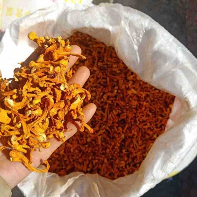内蒙1千克畸形草干货虫草可烹调煲粥煲汤营养虫草花厨房食材系列图4