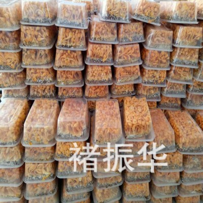 大孢子头 虫草花干货 产地直供虫草花孢子草图5