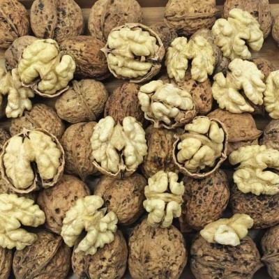 云南大麻子 云南核桃薄皮生核桃 纸皮核桃散装图3