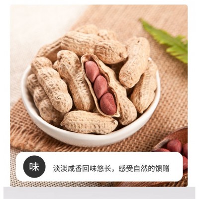 童年记原味花生小包散称500g*1袋可整箱批发长白山红皮花生图4
