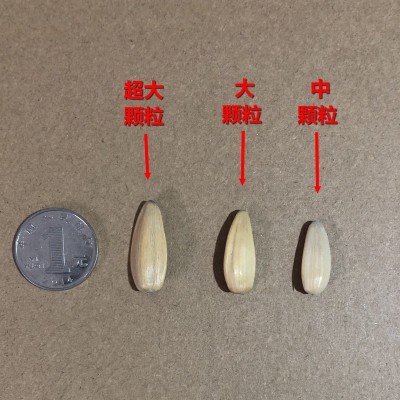 打手瓜子散装批发古法多味网红零食葵花籽休闲小食品炒货坚果厂家  2箱图4