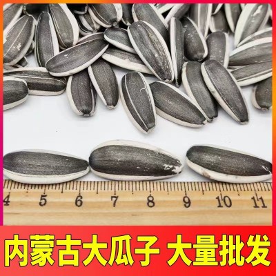 瓜子内蒙古葵花子363赤峰生葵花籽散装原味大颗粒批发厂家大瓜籽  2袋