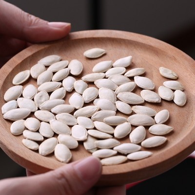 南瓜子内蒙古生的带壳当季新货生的新鲜大中片散装原味白瓜籽批发  2袋