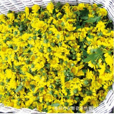 批发供应 黄贡菊花茶 黄山黄菊花 皇菊花 黄金菊花茶 永青花茶图5