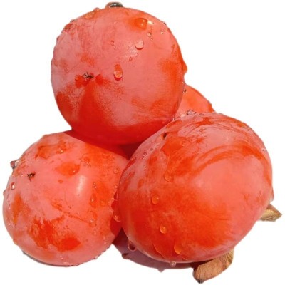 当季新鲜陕西火晶柿子现摘现发应季水果柿子产地一件代发非脆柿