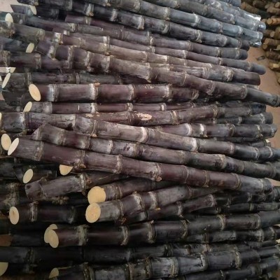 【9斤】广西黑皮甘蔗新鲜水果包邮应当季特产整箱脆甜孕妇果蔗清图3