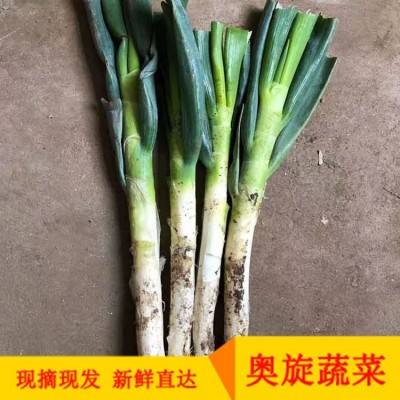 中等粗细铁杆大葱 剥掉老皮 裁去半叶 肉质饱满 脆嫩爽口  1斤图5
