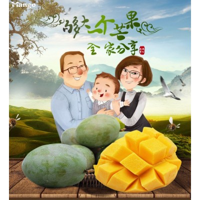 四川攀枝花凯特芒果新鲜大芒果5斤当季水果整箱应季芒果新的包邮  2斤