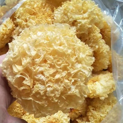 古田新货大朵银耳干货无硫软糯易出胶精选白木耳批发支持一件代发  2件图4