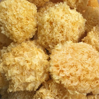 古田新货大朵银耳干货无硫软糯易出胶精选白木耳批发支持一件代发  2件图5