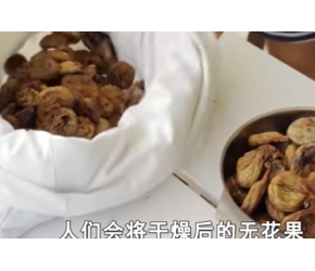无花果是如何干燥并储存的？经煮沸的海水浸泡，晒干后装棉袋