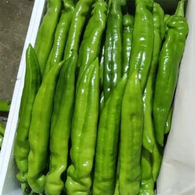 升鑫新鲜薄皮青椒 红辣椒 应季时令蔬菜农家自种图5