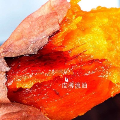 山东烟薯25号糖心小蜜薯烤番薯流油地瓜烤红薯一件代发图2