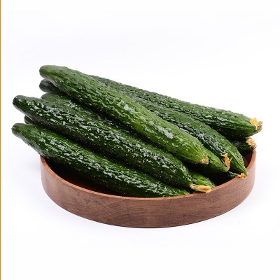 新鲜黄瓜农家现摘蔬菜黄瓜应季水果黄瓜生吃脆嫩带刺青瓜现货批发图5