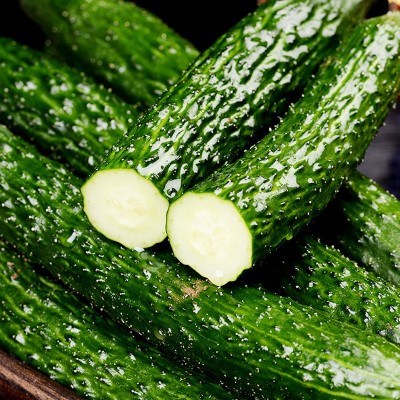 新鲜黄瓜农家现摘蔬菜黄瓜应季水果黄瓜生吃脆嫩带刺青瓜现货批发图3