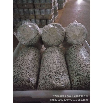 厂家直供质优黑皮鸡枞菌棒菌包菌种量大从优质量保障  10000个图4