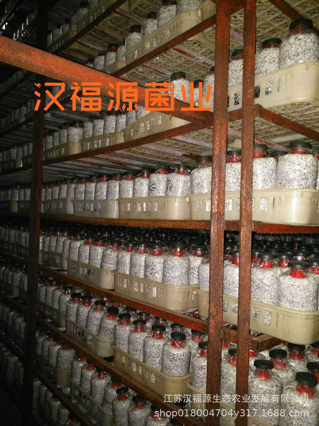 微信图片_20190622090818.jpg