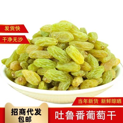 代发新疆特产白葡萄干大量批发500g 新货吐鲁番无核提子葡萄干图2