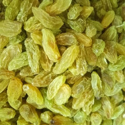 代发新疆特产白葡萄干大量批发500g 新货吐鲁番无核提子葡萄干图3