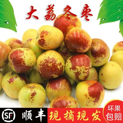 现摘陕西大荔冬枣新鲜水果当季枣子脆枣鲜枣甜冬枣批发一件代发