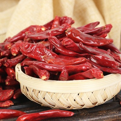 产地货源河南内黄新一代干辣椒500g 适用于火锅底料特辣不易浑汤  2份图4
