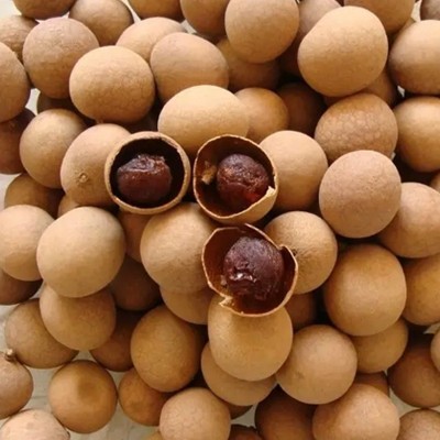 一件代发现货供应广西新货桂圆干龙眼干批发特产8A桂圆干休闲零食图5