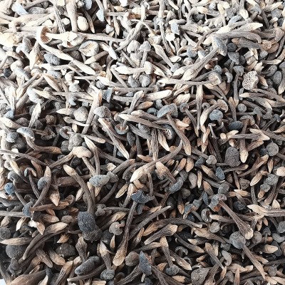 云南特产黑皮鸡枞干货2斤 食用菌菇小黑鸡枞 食用农产品一件代发图4