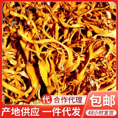 虫草花干货2斤 散草 排草食用农产品 金虫草 蛹虫草 煲汤食材