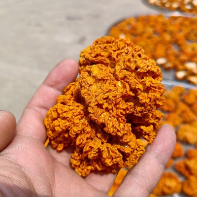 干金耳新货云南金耳2斤 干货金耳菌批发 木耳黄耳脑耳产地供应图3
