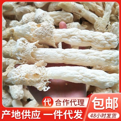贵州红托竹荪干货2斤 织金竹荪菌菇干品 竹笙 菌菇食用农产品