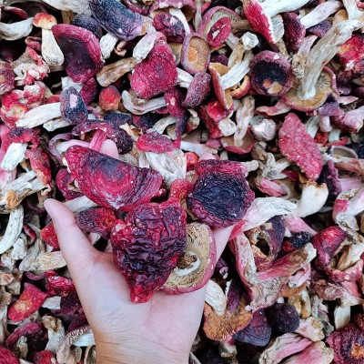 云南特产野生大红菇标菇干货 正红菇2斤 蓝底红菇大红菌产地货源图4