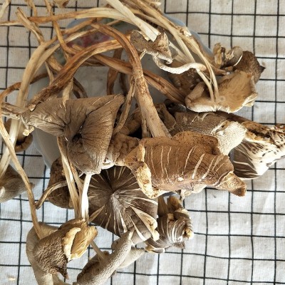 云南特产鸡枞菌1000g 蘑菇菌干货散装零售批发一件代发图4