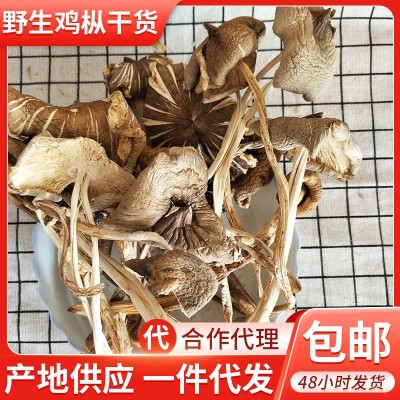 云南特产鸡枞菌1000g 蘑菇菌干货散装零售批发一件代发