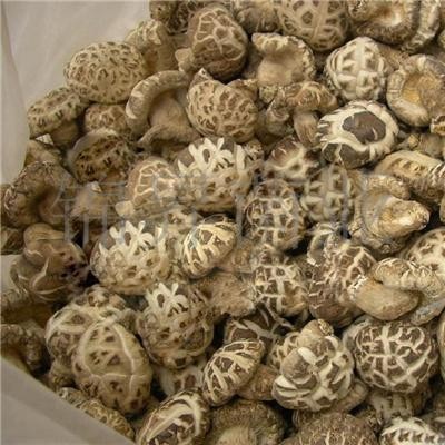 产地直销花菇 食用菌花菇价格 南北干货花菇大花菇价格 云南香菇花菇大花菇供应图5