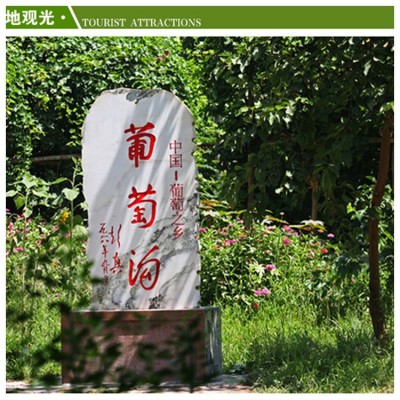 葡萄干新疆特产散装20斤1箱整件批奶茶店零食无籽无核小包装5斤图4