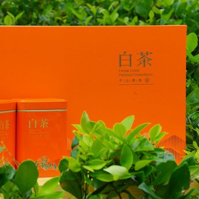安吉白茶礼盒装2023新茶安吉货源礼品采购白茶橙色礼盒喜庆高端图3