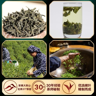 风蔓高山茶六安瓜片500g 散装高山云雾茶叶绿茶口粮茶好喝A2新茶图4