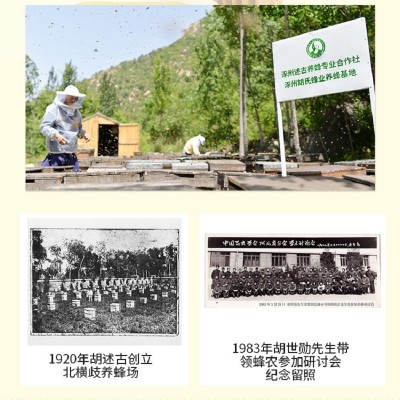 蜂蜜160g瓶装自家蜂场货源销售野山花口味礼品摆地摊跑江湖批发图3