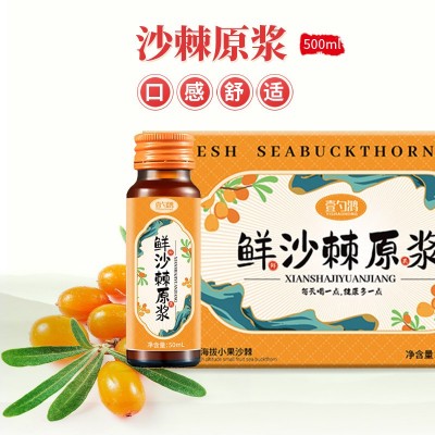 沙棘原浆工厂现货沙棘原液500ml瓶装鲜果鲜榨原味沙棘批发代发图3