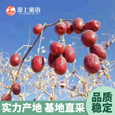 新疆正宗吊干灰枣红枣已洗厂家直发肉厚甘甜漠上果园红枣批发代发图4