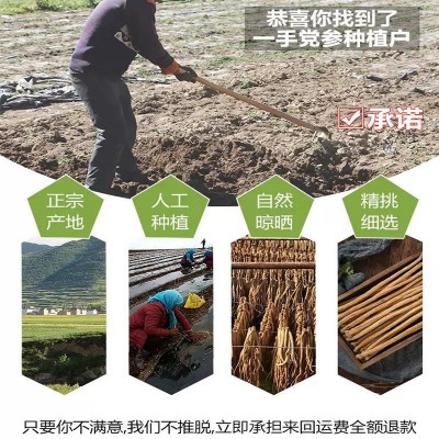 党参原料 批发甘肃原产地 各等级规格 新货无硫党参原料 厂家批发图3