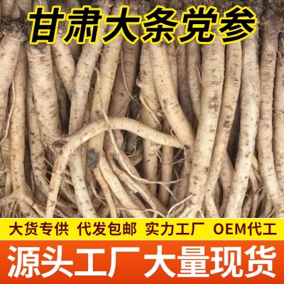 党参原料 批发甘肃原产地 各等级规格 新货无硫党参原料 厂家批发