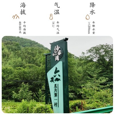 茶叶绿茶安徽六安瓜片2021年春新茶手工雨前一级散装浓香50g袋装图2